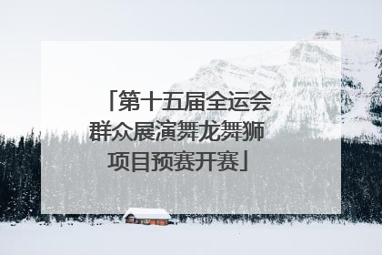 第十五届全运会群众展演舞龙舞狮项目预赛开赛