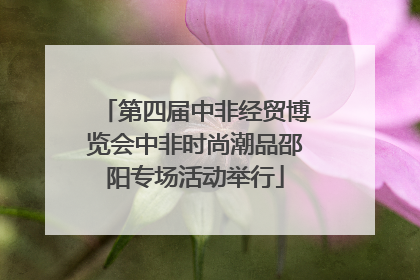 第四届中非经贸博览会中非时尚潮品邵阳专场活动举行