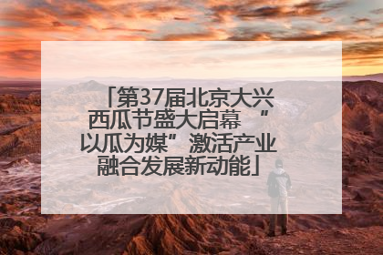 第37届北京大兴西瓜节盛大启幕 “以瓜为媒”激活产业融合发展新动能