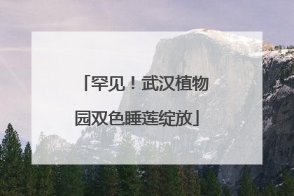 罕见！武汉植物园双色睡莲绽放
