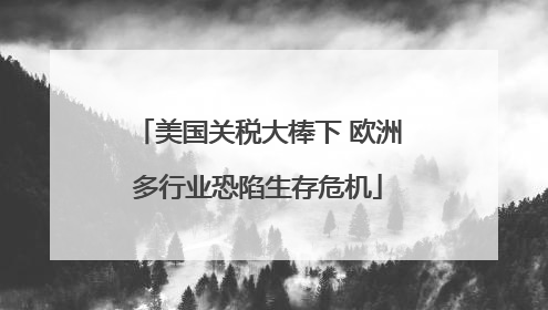 美国关税大棒下 欧洲多行业恐陷生存危机