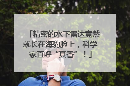 精密的水下雷达竟然就长在海豹脸上，科学家直呼“真香”！