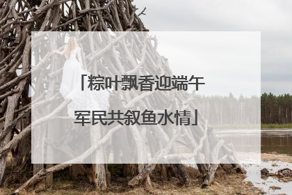 粽叶飘香迎端午 军民共叙鱼水情