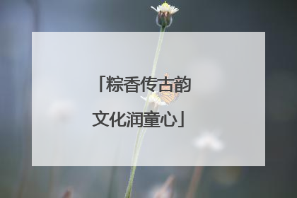 粽香传古韵 文化润童心