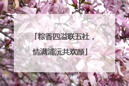 粽香四溢联五社，情满浦沅共欢颜