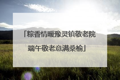 粽香情暖豫灵镇敬老院 端午敬老意满桑榆