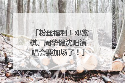 粉丝福利！邓紫棋、周华健沈阳演唱会要加场了！