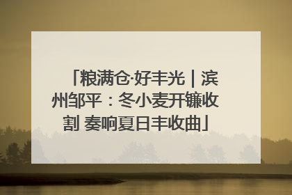 粮满仓·好丰光｜滨州邹平：冬小麦开镰收割 奏响夏日丰收曲