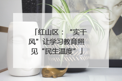 红山区：“实干风”让学习教育照见“民生温度”