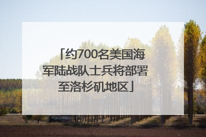 约700名美国海军陆战队士兵将部署至洛杉矶地区