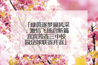 绿茵逐梦展风采，激情飞扬启新篇 宜宾筠连三中校园足球联赛开赛