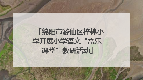绵阳市游仙区梓棉小学开展小学语文“富乐课堂”教研活动