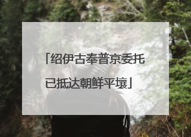 绍伊古奉普京委托已抵达朝鲜平壤