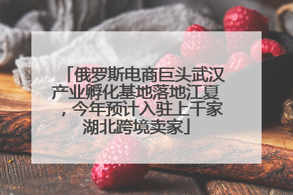 俄罗斯电商巨头武汉产业孵化基地落地江夏，今年预计入驻上千家湖北跨境卖家