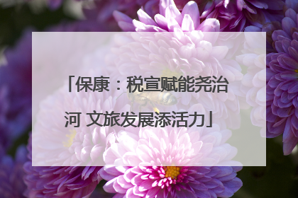 保康：税宣赋能尧治河 文旅发展添活力