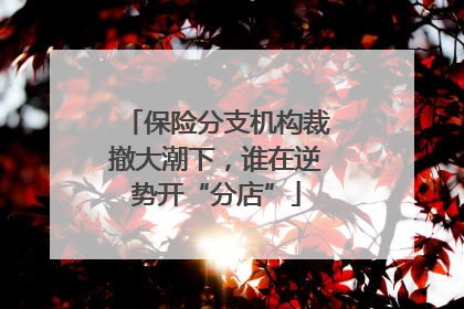 保险分支机构裁撤大潮下，谁在逆势开“分店”