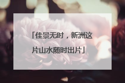 佳景无时，新洲这片山水随时出片