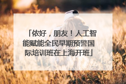 侬好，朋友！人工智能赋能全民早期预警国际培训班在上海开班