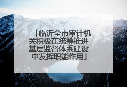 临沂全市审计机关积极在统筹推进基层监督体系建设中发挥职能作用