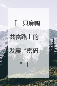 一只麻鸭共富路上的发展“密码”
