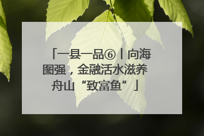 一县一品⑥丨向海图强，金融活水滋养舟山“致富鱼”