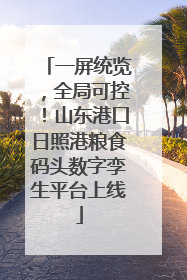 一屏统览，全局可控！山东港口日照港粮食码头数字孪生平台上线