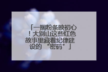 一捆粉条映初心！大别山这些红色故事里藏着纪律建设的 “密码”