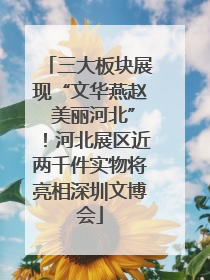 三大板块展现“文华燕赵 美丽河北”！河北展区近两千件实物将亮相深圳文博会
