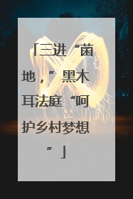 三进“菌地，”黑木耳法庭“呵护乡村梦想”
