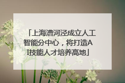 上海漕河泾成立人工智能分中心，将打造AI技能人才培养高地