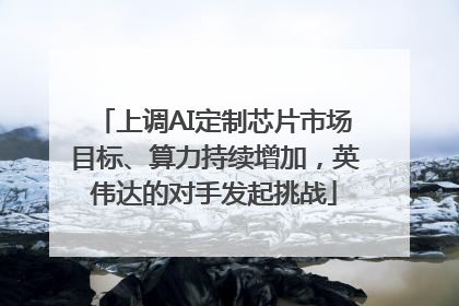 上调AI定制芯片市场目标、算力持续增加，英伟达的对手发起挑战