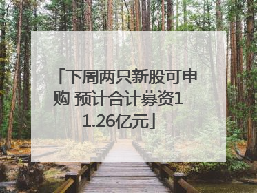 下周两只新股可申购 预计合计募资11.26亿元