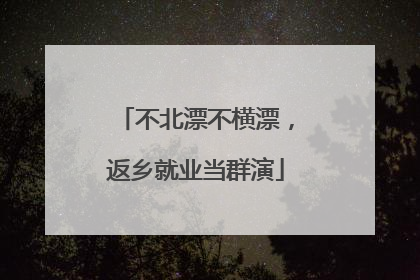 不北漂不横漂，返乡就业当群演
