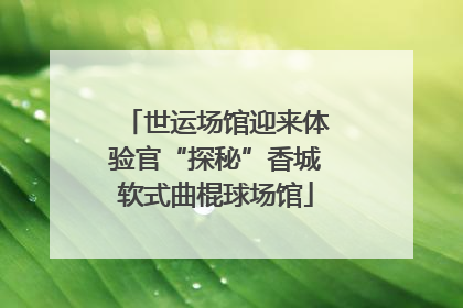 世运场馆迎来体验官“探秘”香城软式曲棍球场馆