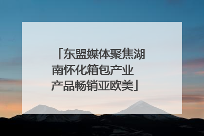 东盟媒体聚焦湖南怀化箱包产业 产品畅销亚欧美