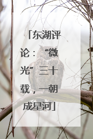 东湖评论：“微光”三十载，一朝成星河
