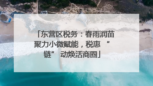 东营区税务：春雨润苗聚力小微赋能，税惠 “链” 动焕活商圈