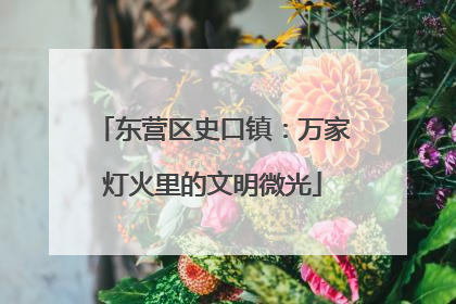 东营区史口镇：万家灯火里的文明微光