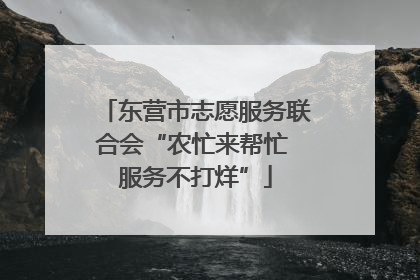 东营市志愿服务联合会“农忙来帮忙 服务不打烊”