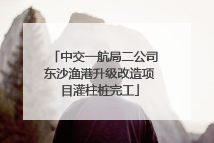 中交一航局二公司东沙渔港升级改造项目灌柱桩完工