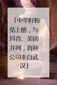 中华籽粒苋上榜，与抖音、美团并列，育种公司来自武汉