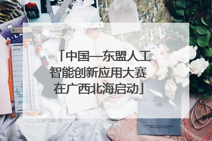 中国—东盟人工智能创新应用大赛在广西北海启动