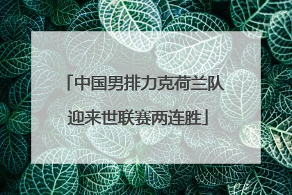 中国男排力克荷兰队 迎来世联赛两连胜