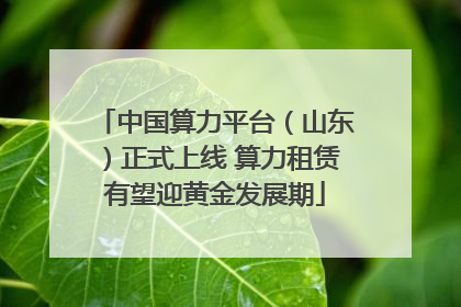 中国算力平台（山东）正式上线 算力租赁有望迎黄金发展期