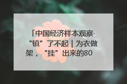 中国经济样本观察·“镇”了不起｜为衣做架，“挂”出来的80亿元“衣架产业”