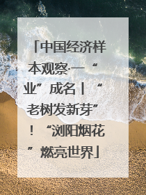 中国经济样本观察·一“业”成名丨“老树发新芽”！“浏阳烟花”燃亮世界