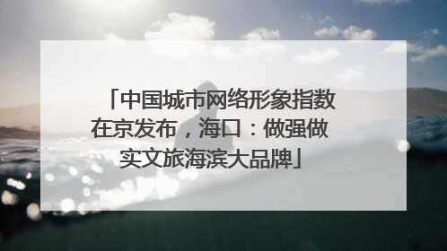 中国城市网络形象指数在京发布，海口：做强做实文旅海滨大品牌