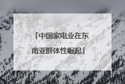 中国家电业在东南亚群体性崛起