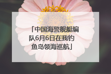 中国海警舰艇编队6月6日在我钓鱼岛领海巡航