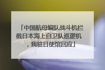 中国航母编队战斗机拦截日本海上自卫队巡逻机，我驻日使馆回应